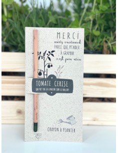 Crayon à planter - merci à toi - tomate cerise