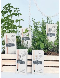 crayon à planter - merci
