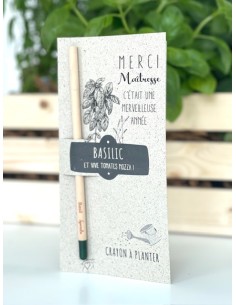 Crayon à planter - merci maîtresse - basilic